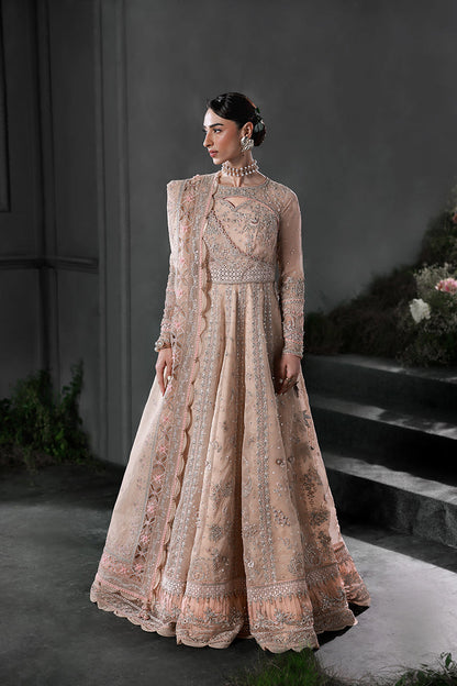 Qalamkar | Elirah Formals 25 | MF-01 LUSTRA - Pakistani Designer Dress - by Qalamkar - Type : Ladies Clothes - 100% Original at Saira Sultan
