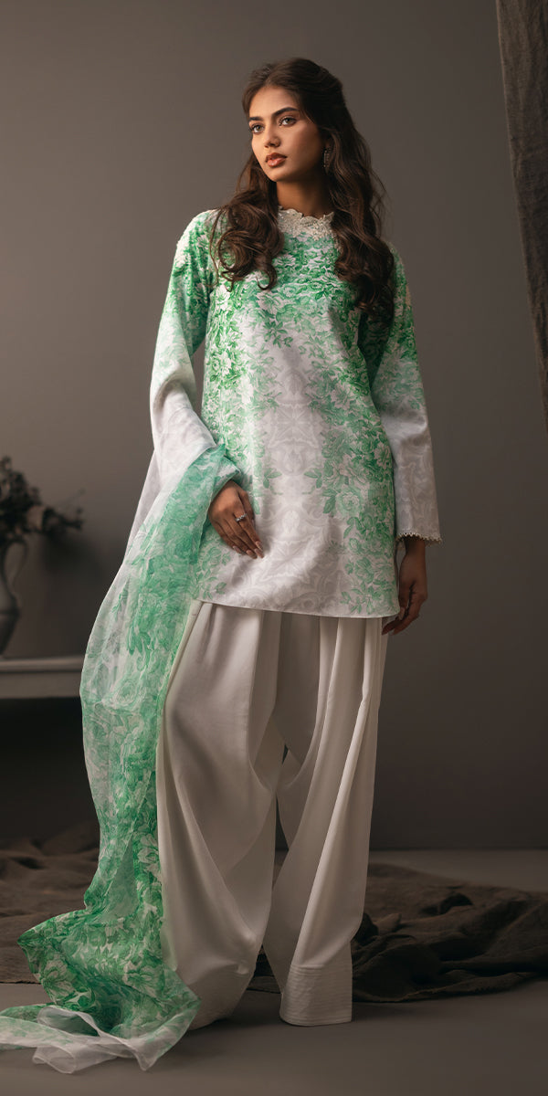 Erum Khan | Beyond Basic | VIVID ELEGANCE - Pakistani Designer Dress - by Erum Khan | Type: Ladies Clothes - 100% Original at Saira Sultan