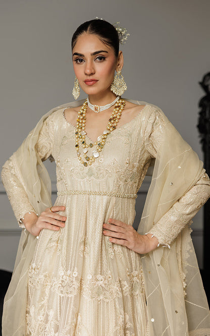 Threads and Motifs | Formal Dresses 25 | Net Embroidered Maxi