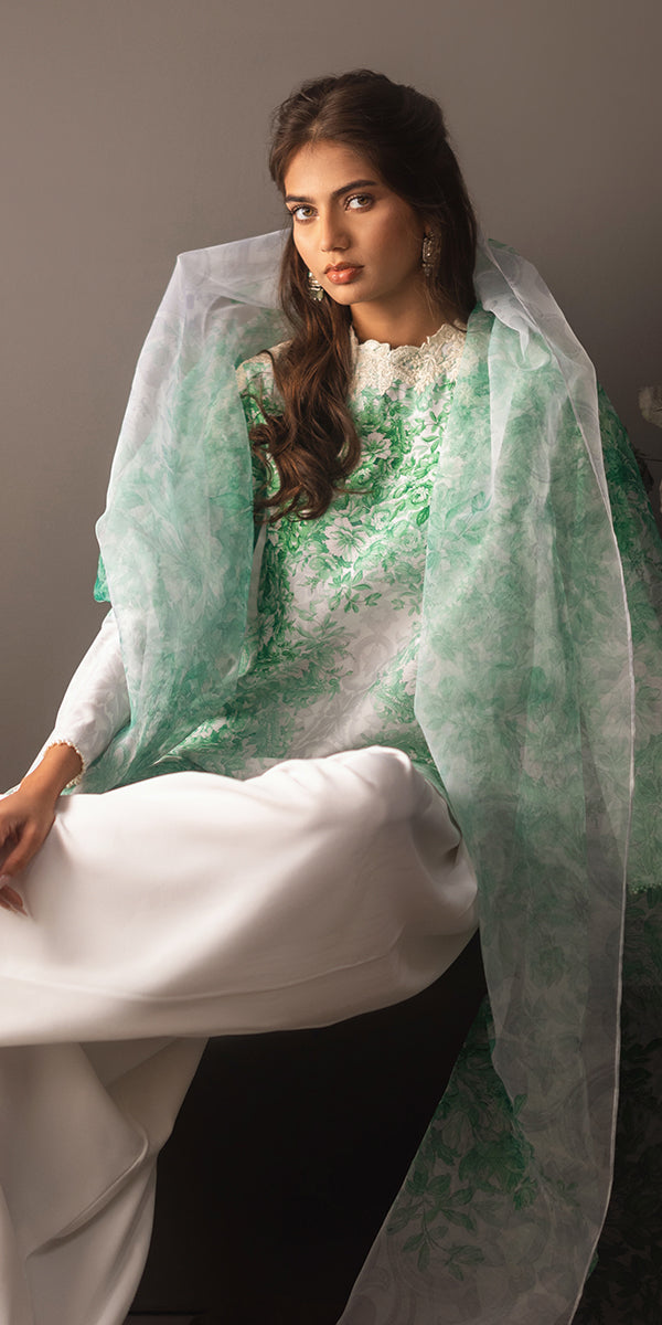 Erum Khan | Beyond Basic | VIVID ELEGANCE - Pakistani Designer Dress - by Erum Khan | Type: Ladies Clothes - 100% Original at Saira Sultan