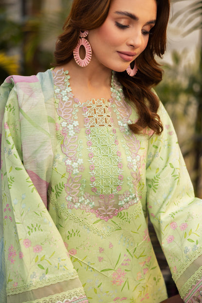 Rangrasiya | Lifestyle Summer Edit 25 | Rosemary M Parrot Green Lawn