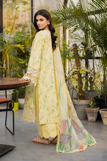 Rangrasiya | Lifestyle Summer Edit 25 | Olivine S Yellow Lawn