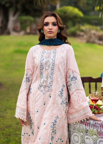 Paras by Pasha | Bloom and Beyond | Coral Bloom