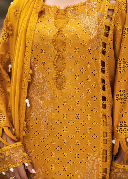 Paras by Pasha | Bloom and Beyond | Marigold Bloom