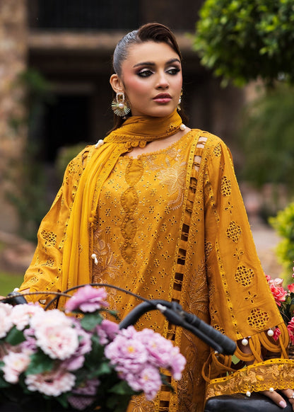 Paras by Pasha | Bloom and Beyond | Marigold Bloom