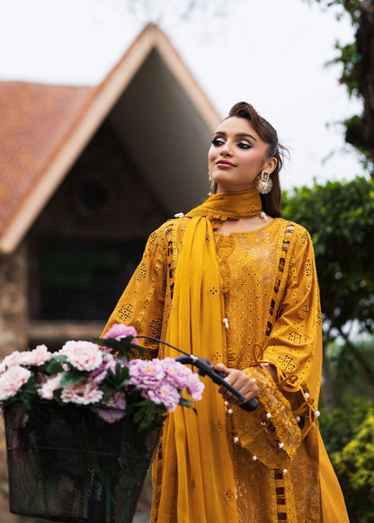 Paras by Pasha | Bloom and Beyond | Marigold Bloom