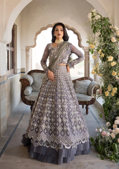 Elaf Premium | Formal Handwork Collection | EFH-02 NAZNEEN XS Gray Organza