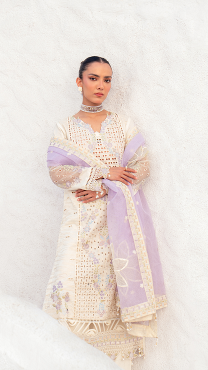 Zebtan | ZA-07 | Anaya Lawn