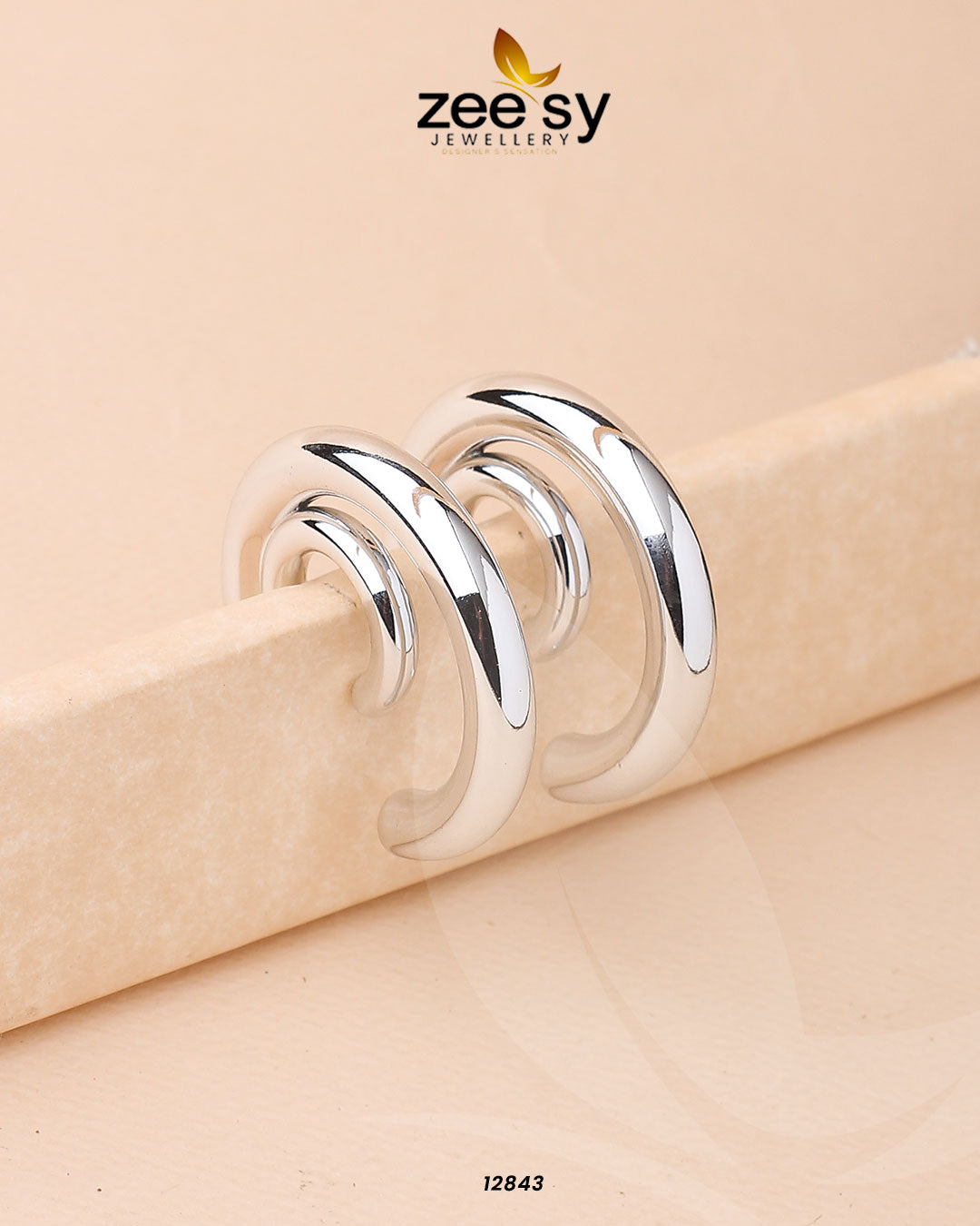 Arc Earrings Silver