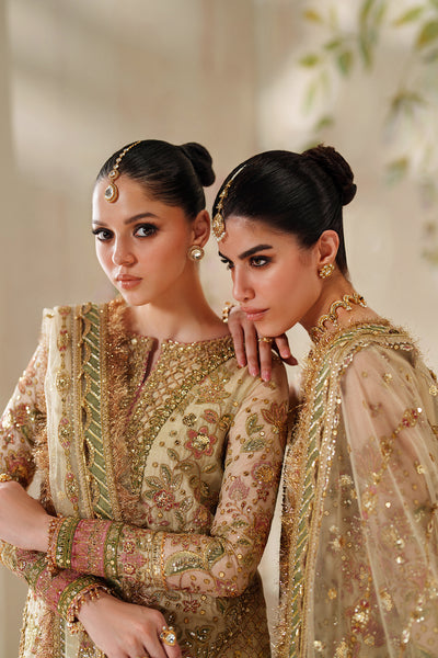 Baroque | Chantelle 25 | CH14-02 - Pakistani Designer Dress - by Baroque - Type : Ladies Clothes - 100% Original at Saira Sultan