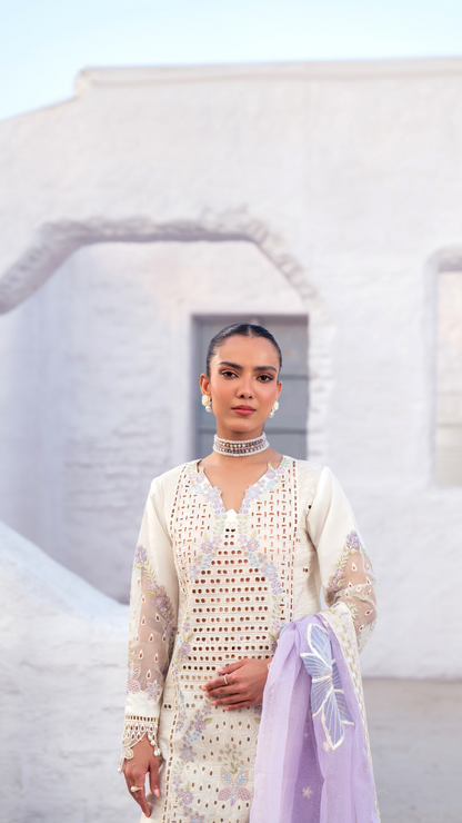 Zebtan | ZA-07 | Anaya Lawn