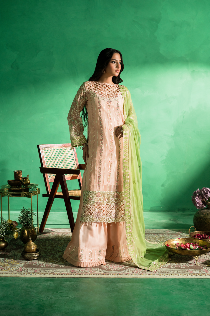Zebtan | Farmaish Formals | FC-08 XS Pale Peach Chiffon