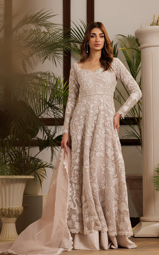 Threads and Motifs | Formal Dresses 25 | Net Embroidered Dress - Pakistani Designer Dress - by Threads and Motifs - Type : Ladies Clothes - 100% Original at Saira Sultan