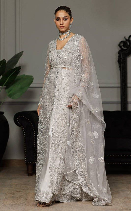 Threads and Motifs | Formal Dresses 25 | Net Embroidered Dress With Skirt And Dupatta - Pakistani Designer Dress - by Threads and Motifs - Type : Ladies Clothes - 100% Original at Saira Sultan