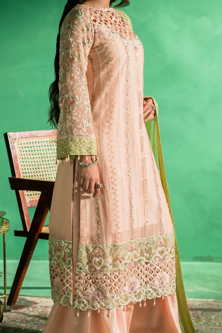 Zebtan | Farmaish Formals | FC-08 XL Pale Peach Chiffon