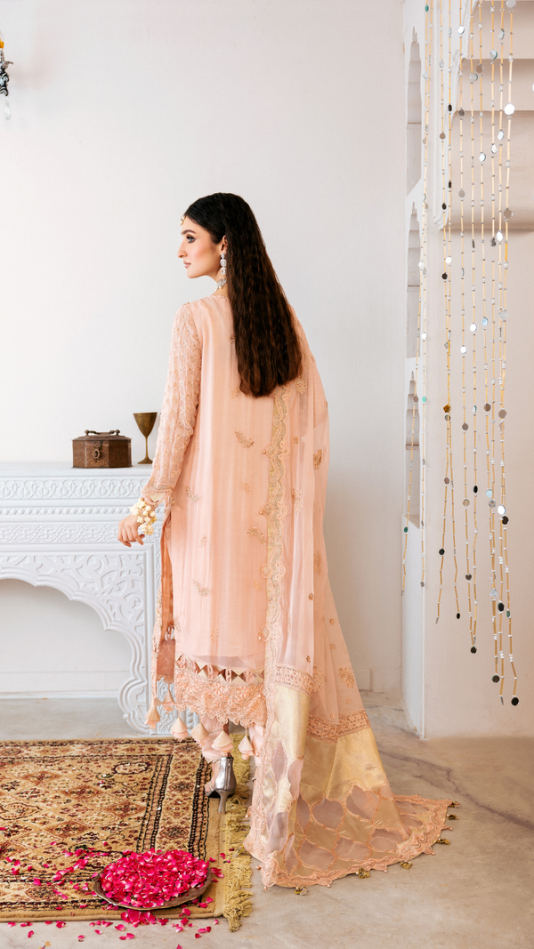 Zebtan | Zircon Wedding Formals | SHAMA ZQ-05 S Pale Peach Chiffon