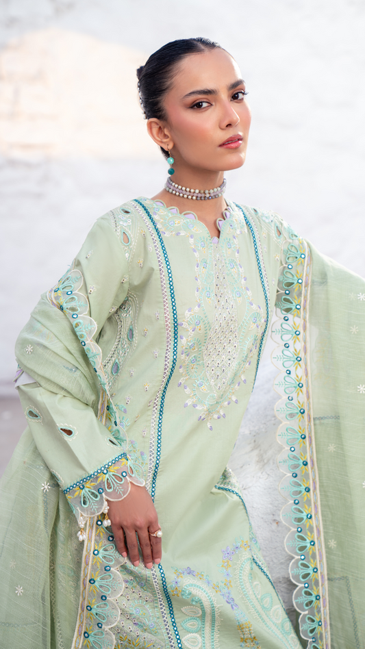 Zebtan | ZA-05 | Anaya Lawn