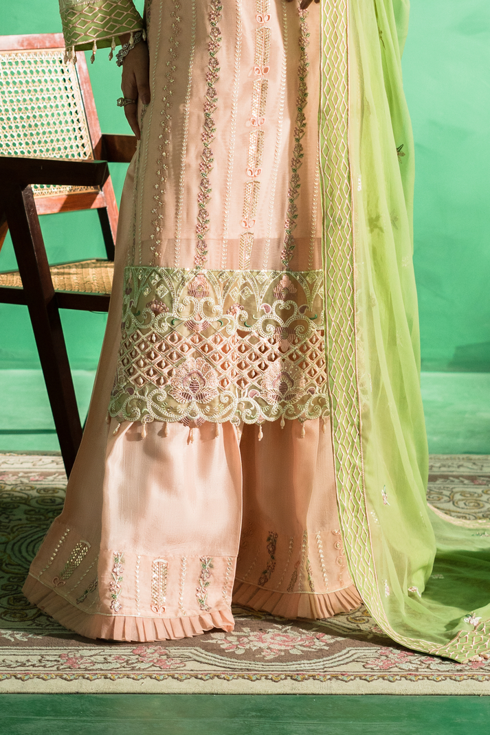 Zebtan | Farmaish Formals | FC-08 L Pale Peach Chiffon
