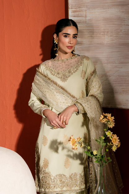 Neeshay | Raw Silk | RTW-RS-04 - Pakistani Designer Dress - by Neeshay - Type : Ladies Clothes - 100% Original at Saira Sultan