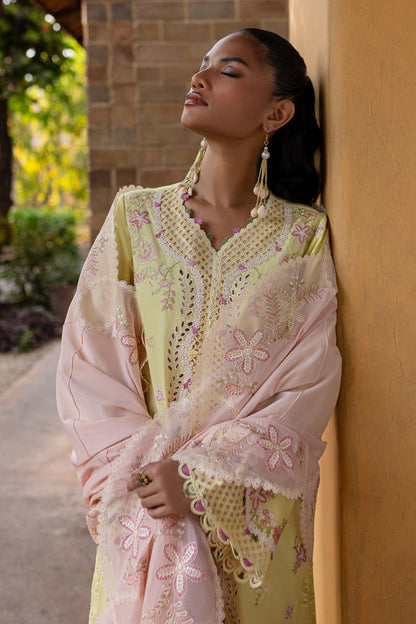 Qalamkar | Q Line Lawn 25 | QM-11 Ina XL Dust Yellow Lawn