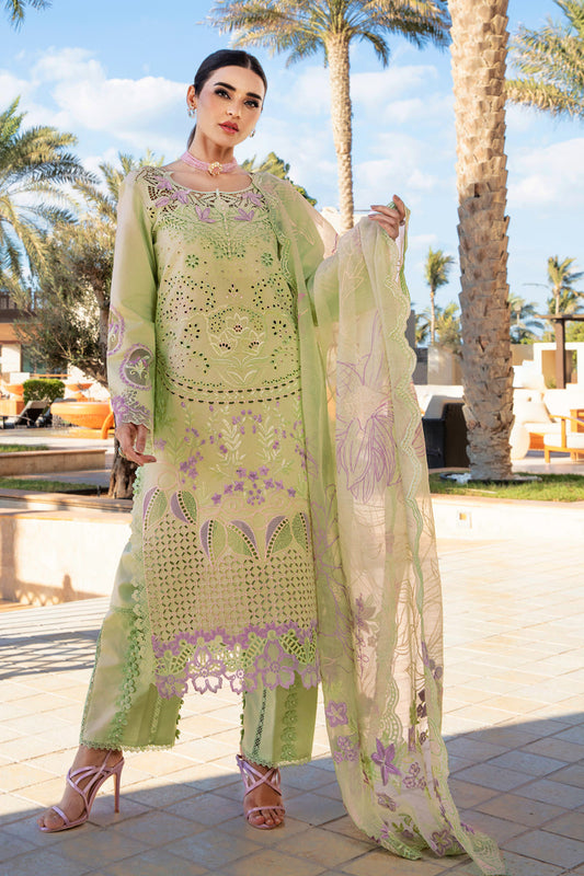 Rangrasiya | Premium Summer Lawn 25 | Ayleen XS