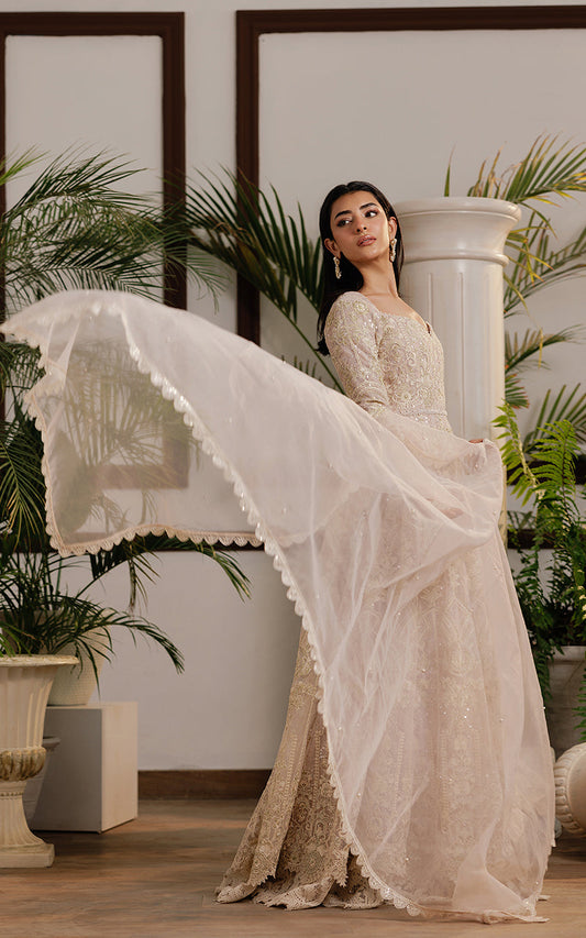 Threads and Motifs | Formal Dresses 25 | Net Embroidered Maxi - Pakistani Designer Dress - by Threads and Motifs - Type : Ladies Clothes - 100% Original at Saira Sultan