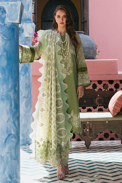 Nureh | Maya Swiss Lawn | NS-64 XS Olive Green Lawn