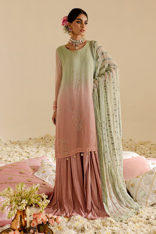 Nureh | Mukeshkari Formals | MK-07 XS Peach Pink Chiffon