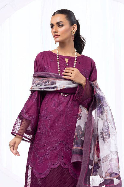 House of Nawab | Lawn Collection 24 | HAMANA - Pakistani Designer Dress - by House of Nawab | Type: Luxury - 100% Original at Saira Sultan