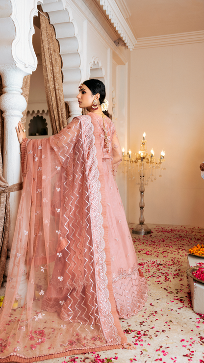 Zebtan | Zircon Wedding Formals | SHABNAM ZQ-07 S Tea Pink Net