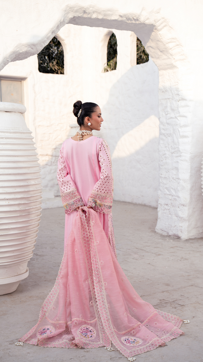 Zebtan | ZA-03 | Anaya Lawn