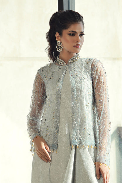 Wardha Saleem | Luxury Pret Fusion Wear | PEARL (2PC) XL Sky Blue Female