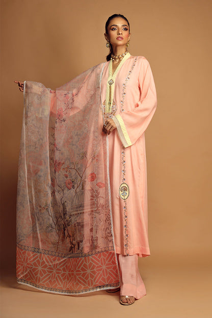 Wardha Saleem | Luxury Pret Traditional Wear | ALLURE (2PC) S Pink Cotton Silk