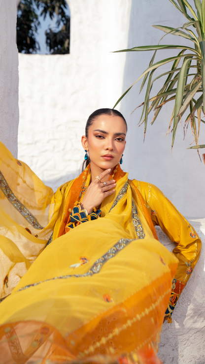 Zebtan | ZA-08 | Anaya Lawn