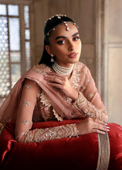 Akbar Aslam | Dastaan Luxury Formals | Nazneen XL Peach Pink Net