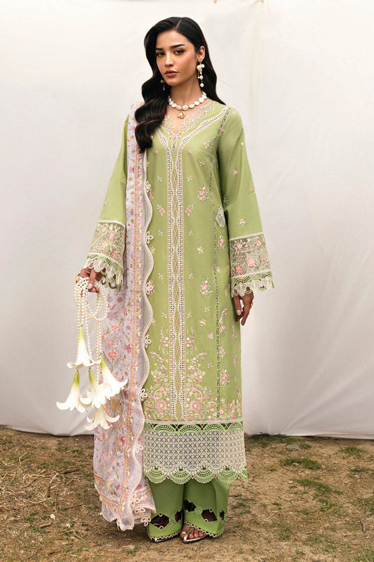 Qalamkar | Qlinekari Lawn | DC-01 Lovisa XS Apple Green Lawn