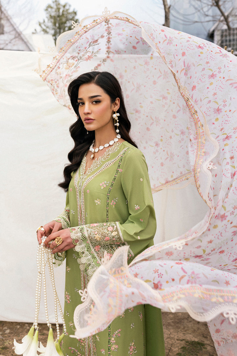 Qalamkar | Qlinekari Lawn | DC-01 Lovisa Custom Size Apple Green Lawn