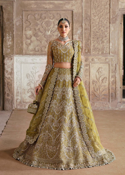 Akbar Aslam | Rajkumari Bridals | Zarnigar XS Mehndi Net