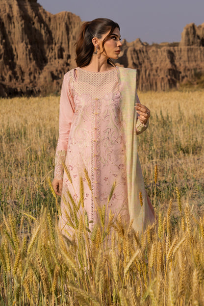 Rangrasiya | Premium Eid Edit 25 | Nehal L Light Pink Lawn