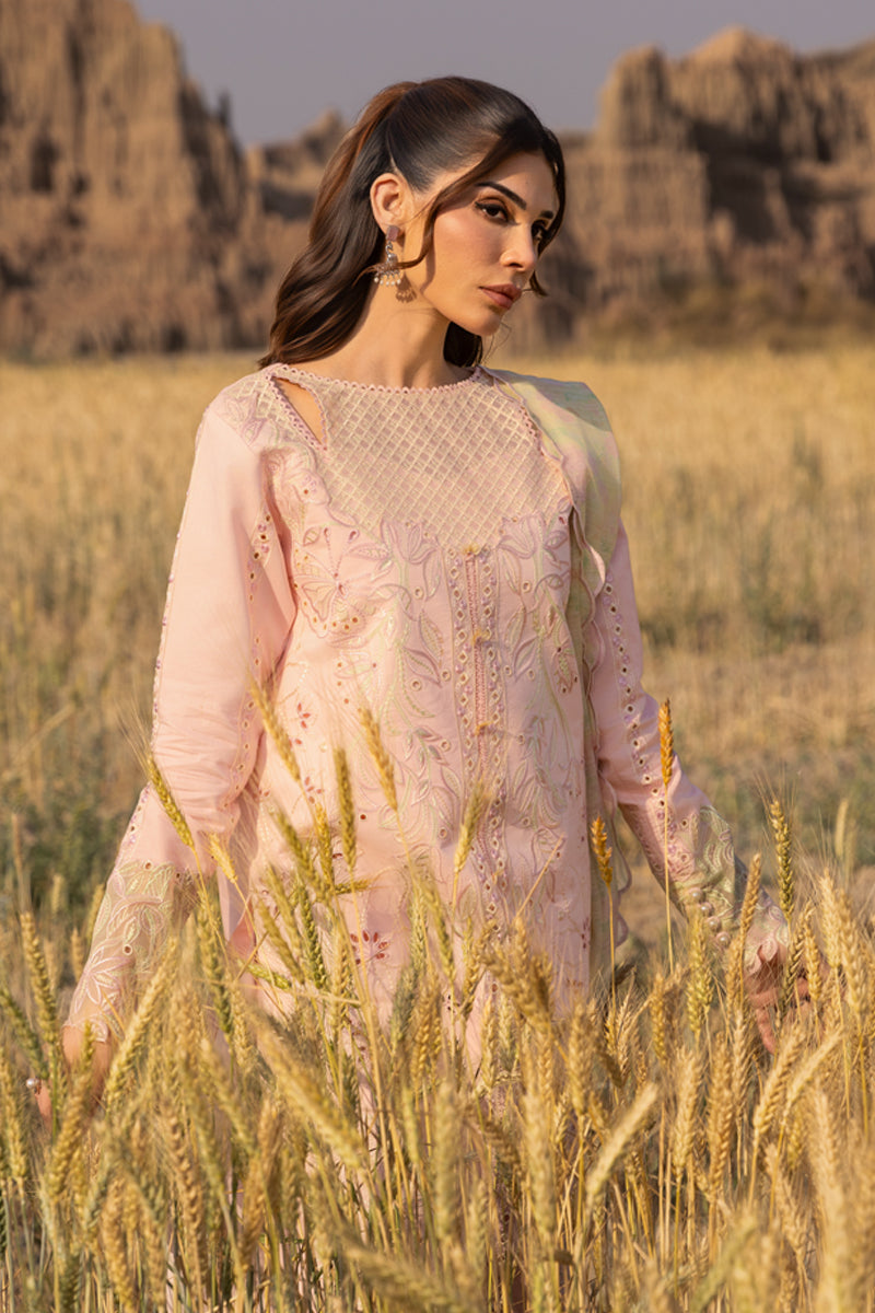 Rangrasiya | Premium Eid Edit 25 | Nehal M Light Pink Lawn