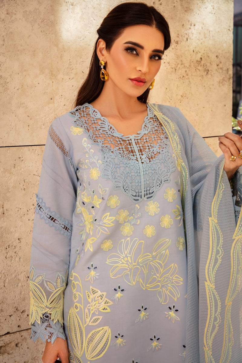 Rangrasiya | Premium Summer Lawn 25 | Elnaz L Gray Lawn