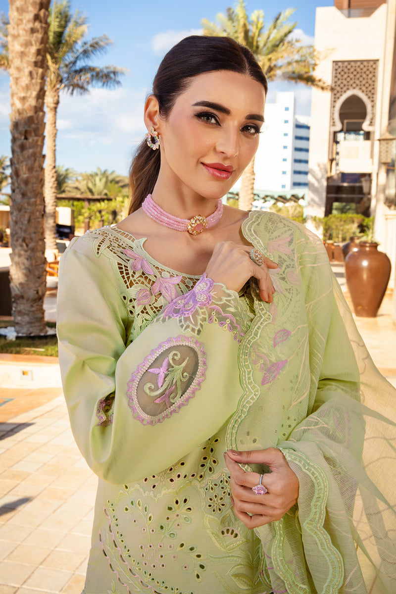 Rangrasiya | Premium Summer Lawn 25 | Ayleen M
