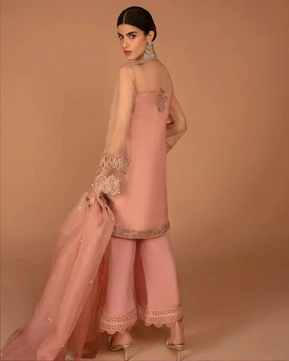 Faiza Saqlain | Aleira Evening Edit 24 | Auset - Pakistani Designer Dress - by Faiza Saqlain | Type: Formal - 100% Original at Saira Sultan