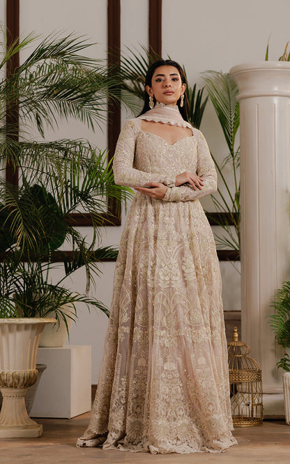 Threads and Motifs | Formal Dresses 25 | Net Embroidered Maxi