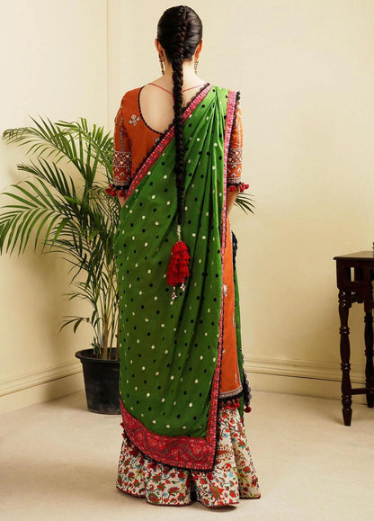 Hussain Rehar | Embroidered Lawn | STAR DUST - Pakistani Designer Dress - by Hussain Rehar | Type: Ladies Clothes - 100% Original at Saira Sultan