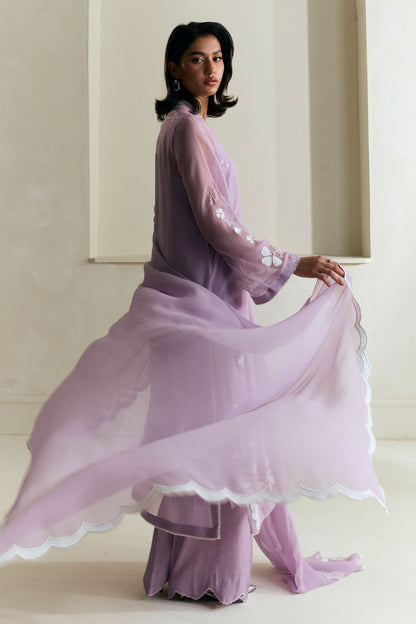 Zara Shahjahan | Festive Wear 25 | ZR25F0544