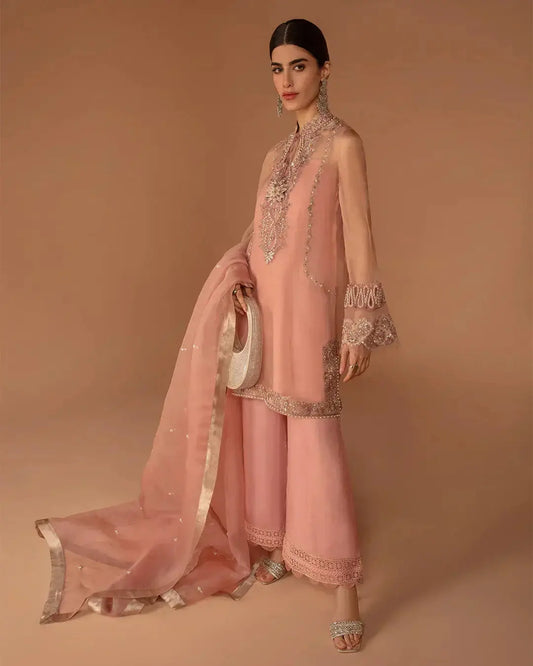 Faiza Saqlain | Aleira Evening Edit 24 | Auset - Pakistani Designer Dress - by Faiza Saqlain | Type: Formal - 100% Original at Saira Sultan