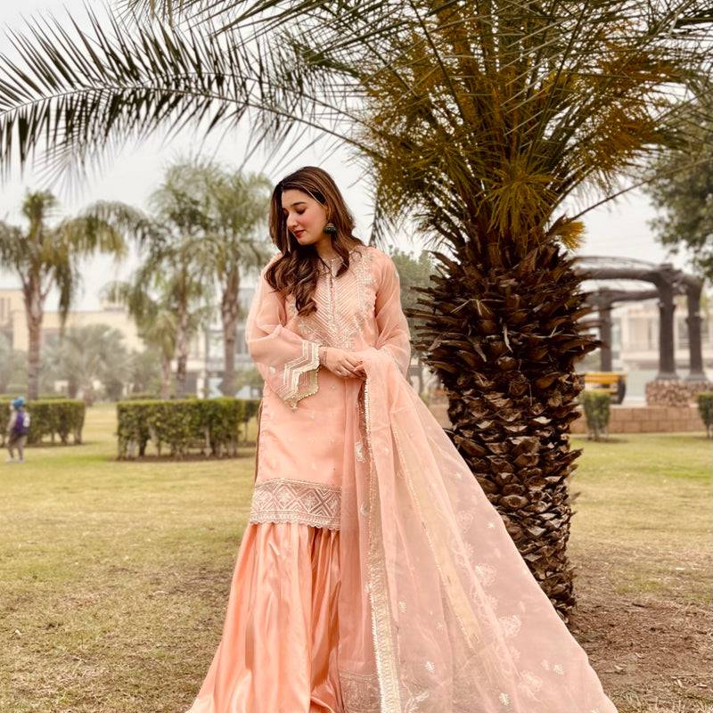 Daud Abbas | Formals Collection | Zaira - Pakistani Designer Dress - by Daud Abbas | Type: Formal - 100% Original at Saira Sultan