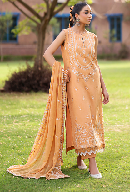 Humdum | Selin Lawn 25 | Selin - D07 L Apricot Orange Lawn