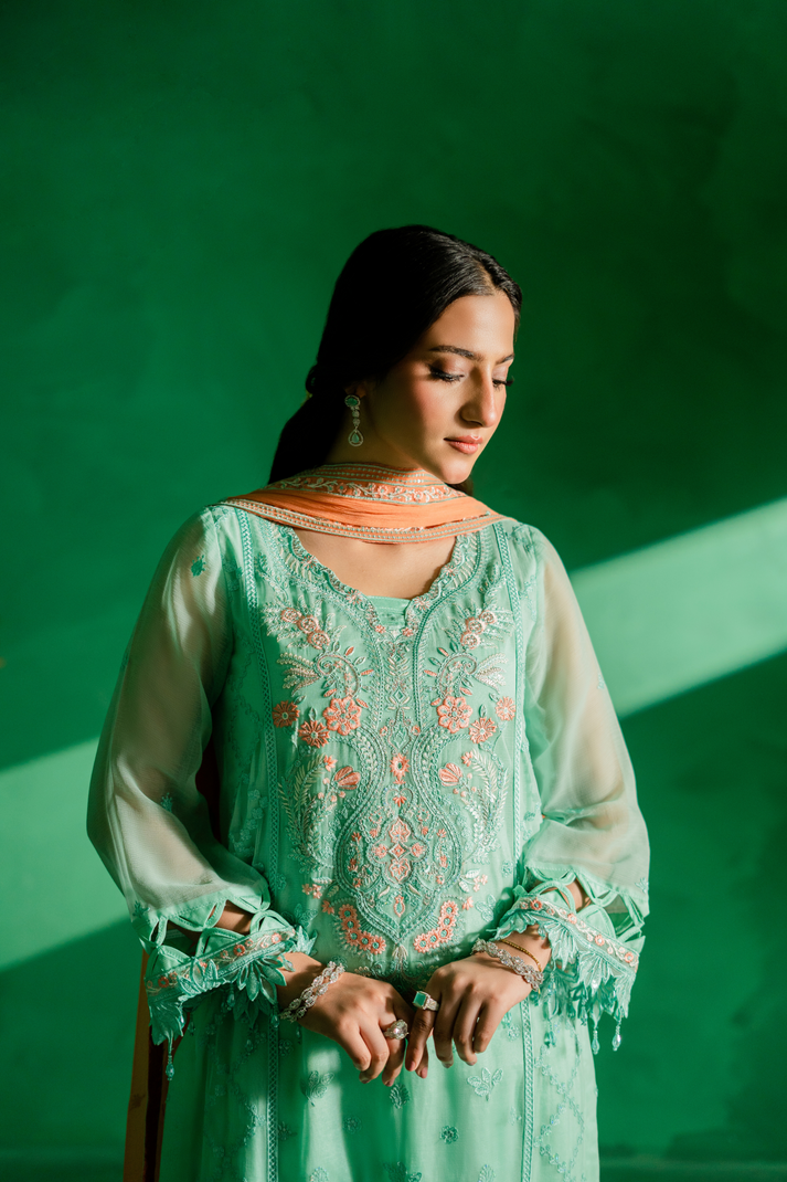 Zebtan | Farmaish Formals | FC-02 M Mint Green Chiffon